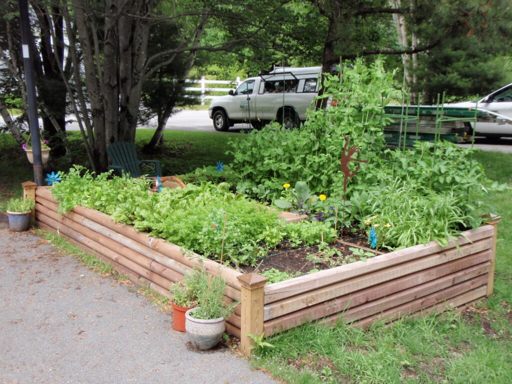 Raised Flower Beds